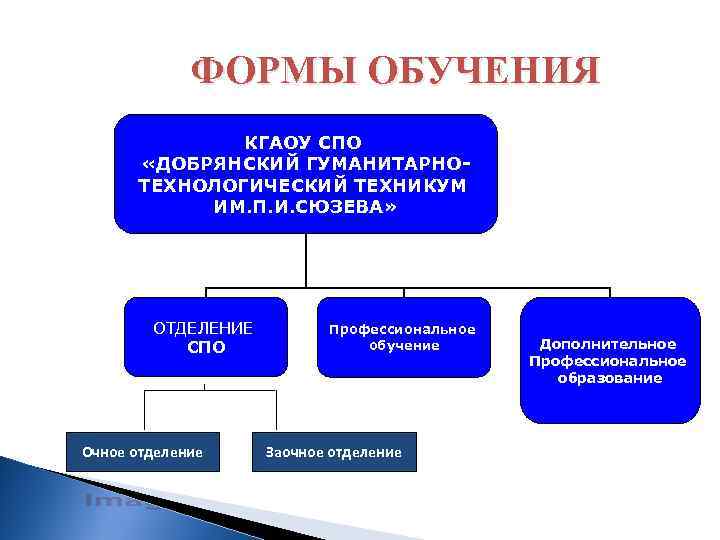 ФОРМЫ ОБУЧЕНИЯ КГАОУ СПО «ДОБРЯНСКИЙ ГУМАНИТАРНОТЕХНОЛОГИЧЕСКИЙ ТЕХНИКУМ ИМ. П. И. СЮЗЕВА» ОТДЕЛЕНИЕ СПО Очное