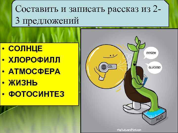 Составить и записать рассказ из 23 предложений • • • СОЛНЦЕ ХЛОРОФИЛЛ АТМОСФЕРА ЖИЗНЬ