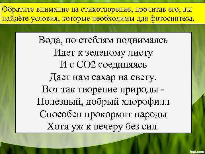 Обратите внимание на стихотворение, прочитав его, вы найдёте условия, которые необходимы для фотосинтеза. Вода,