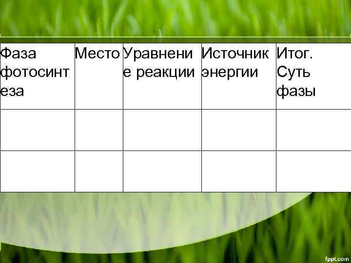 Фаза Место Уравнени Источник Итог. фотосинт е реакции энергии Суть еза фазы 
