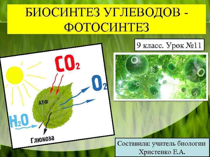 БИОСИНТЕЗ УГЛЕВОДОВ ФОТОСИНТЕЗ 9 класс. Урок № 11 Составила: учитель биологии Христенко Е. А.