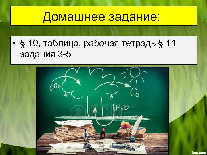 Домашнее задание: • § 10, таблица, рабочая тетрадь § 11 задания 3 -5 