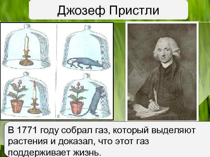 Джозеф Пристли В 1771 году собрал газ, который выделяют растения и доказал, что этот