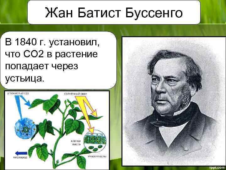 Жан Батист Буссенго В 1840 г. установил, что СО 2 в растение попадает через