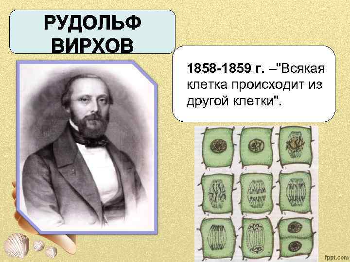 1858 -1859 г. –