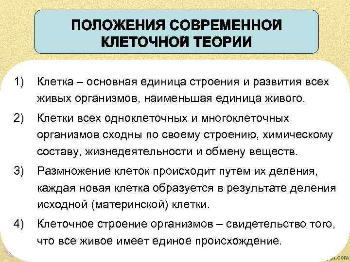 1) Клетка – основная единица строения и развития всех живых организмов, наименьшая единица живого.
