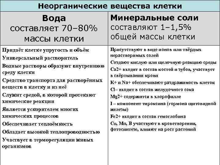 Неорганические вещества клетки Вода составляет 70– 80% массы клетки Придаёт клетке упругость и объём