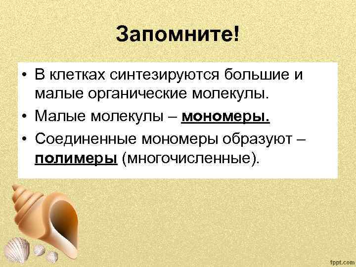 Запомните! • В клетках синтезируются большие и малые органические молекулы. • Малые молекулы –