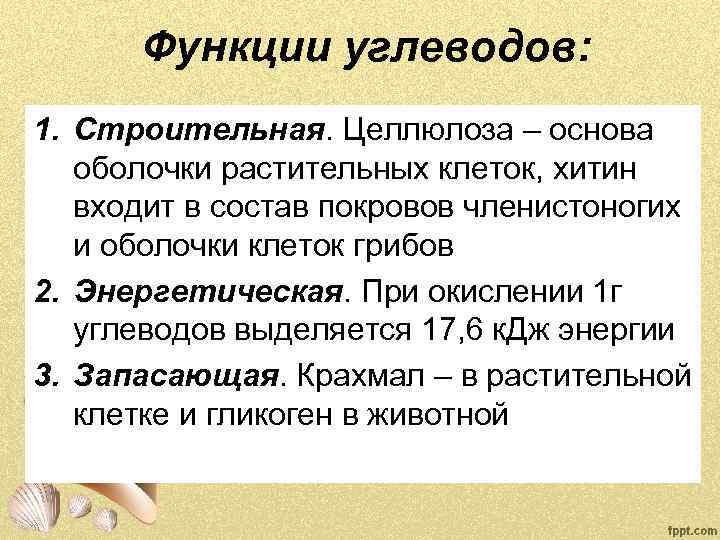 Функции углеводов: 1. Строительная. Целлюлоза – основа оболочки растительных клеток, хитин входит в состав