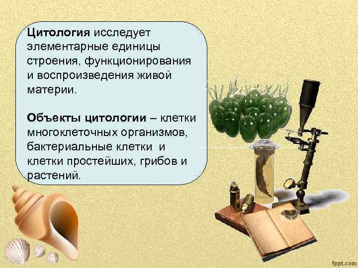 Цитология исследует элементарные единицы строения, функционирования и воспроизведения живой материи. Объекты цитологии – клетки