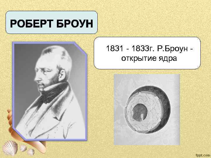1831 - 1833 г. Р. Броун - открытие ядра 
