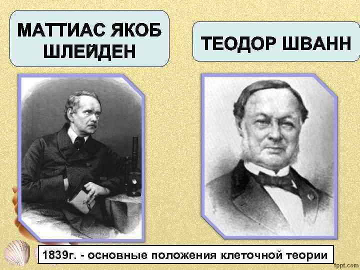 1839 г. - основные положения клеточной теории 
