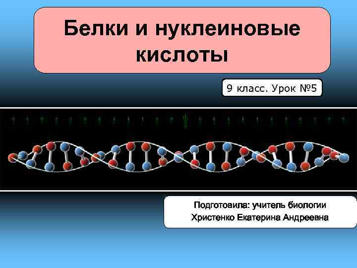 Белки и нуклеиновые кислоты 9 класс. Урок № 5 Подготовила: учитель биологии Христенко Екатерина