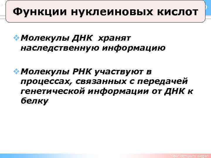 LOGO Функции нуклеиновых кислот v Молекулы ДНК хранят наследственную информацию v Молекулы РНК участвуют