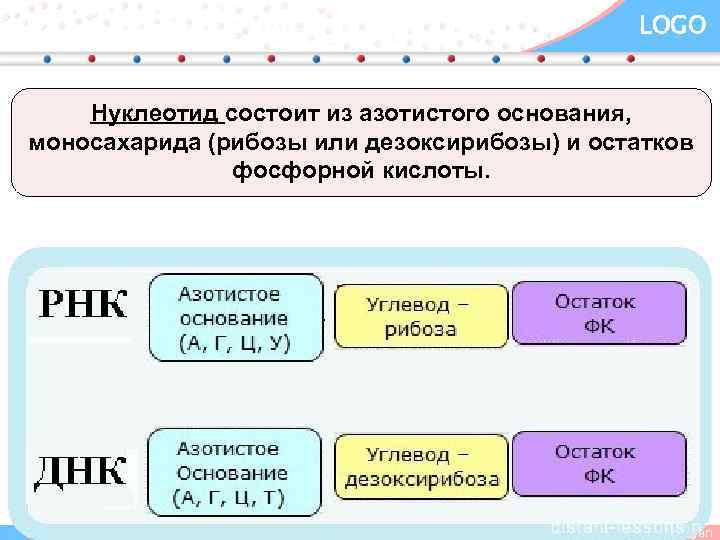 LOGO Нуклеотид состоит из азотистого основания, моносахарида (рибозы или дезоксирибозы) и остатков фосфорной кислоты.