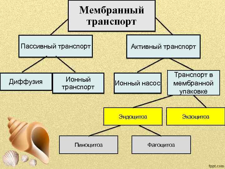 Мембранный транспорт Пассивный транспорт Диффузия Ионный транспорт Активный транспорт Ионный насос Транспорт в мембранной