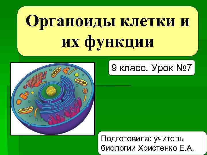 Органоиды клетки и их функции 9 класс. Урок № 7 Подготовила: учитель биологии Христенко