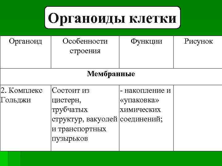 Органоиды клетки Органоид Особенности строения Функции Мембранные 2. Комплекс Состоит из - накопление и