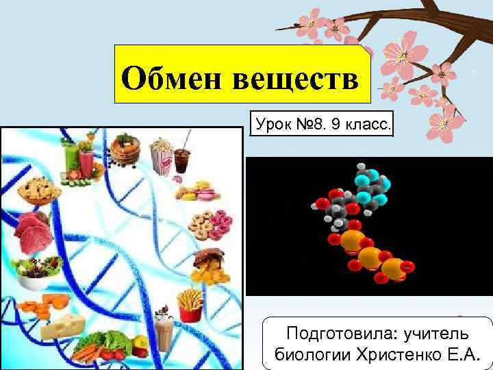 Обмен веществ Урок № 8. 9 класс. Подготовила: учитель биологии Христенко Е. А. 