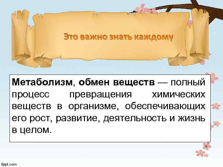 Метаболизм, обмен веществ — полный процесс превращения химических веществ в организме, обеспечивающих его рост,