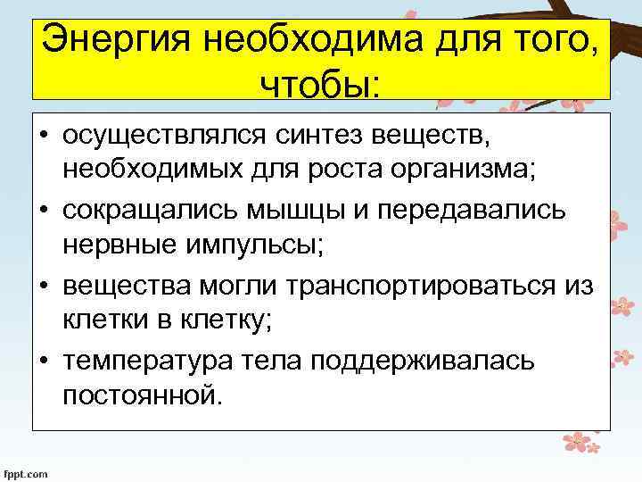 Энергия необходима для того, чтобы: • осуществлялся синтез веществ, необходимых для роста организма; •