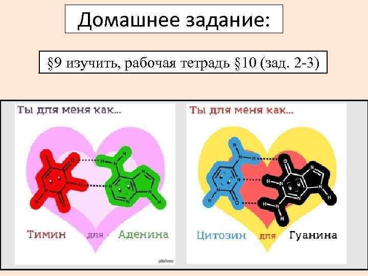 Домашнее задание: § 9 изучить, рабочая тетрадь § 10 (зад. 2 -3) 