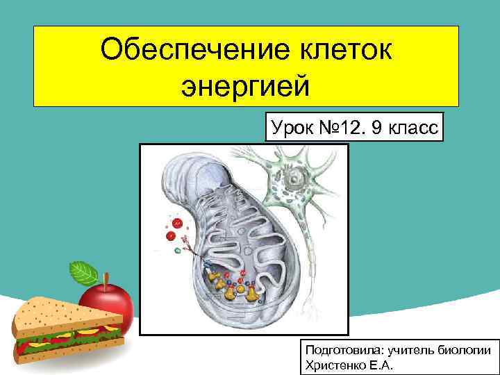 Обеспечение клеток энергией Урок № 12. 9 класс Подготовила: учитель биологии Христенко Е. А.