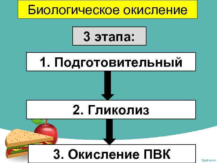 Обеспечение клеток энергией