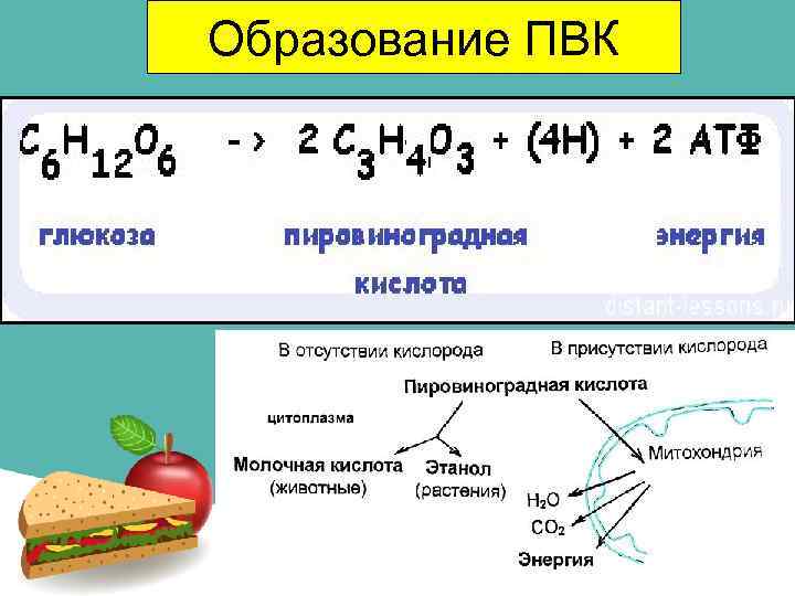 Образование ПВК 