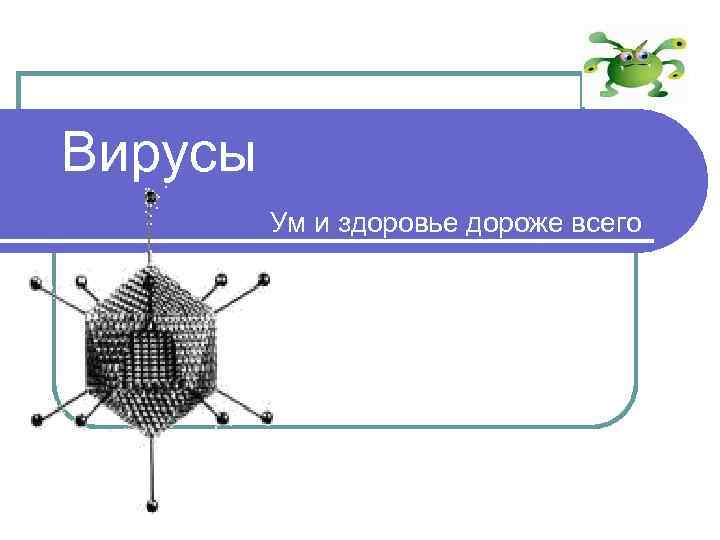 Вирусы Ум и здоровье дороже всего 