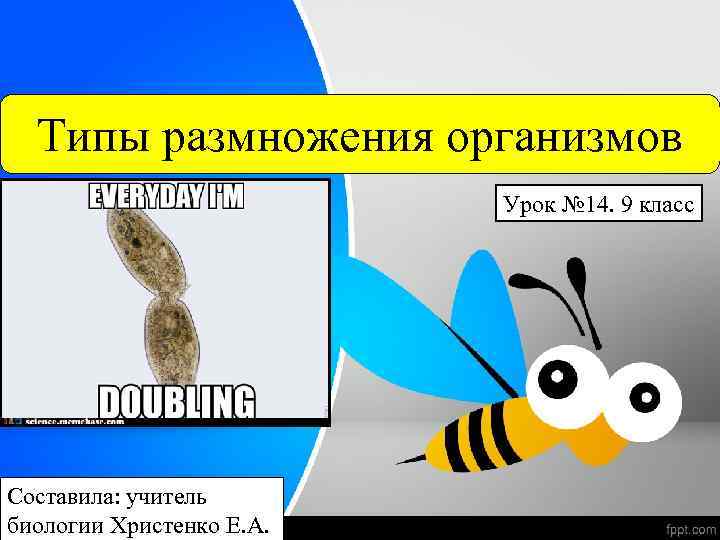 Типы размножения организмов Урок № 14. 9 класс Составила: учитель биологии Христенко Е. А.