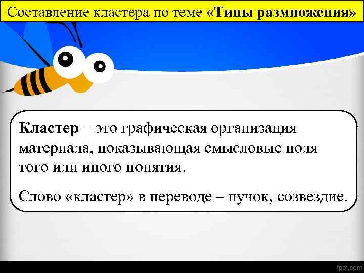 Составление кластера по теме «Типы размножения» Кластер – это графическая организация материала, показывающая смысловые
