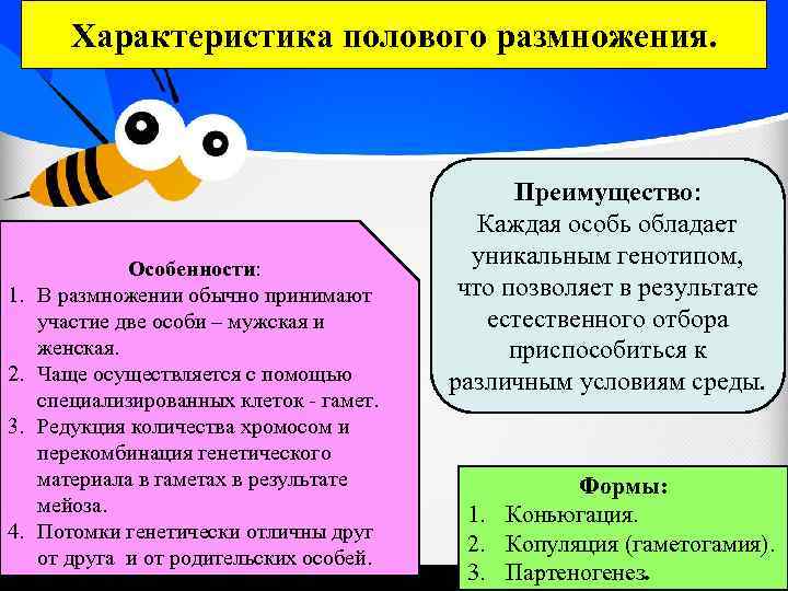 Характеристика полового размножения. 1. 2. 3. 4. Особенности: В размножении обычно принимают участие две