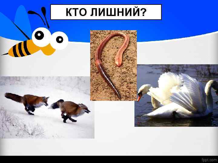 КТО ЛИШНИЙ? 