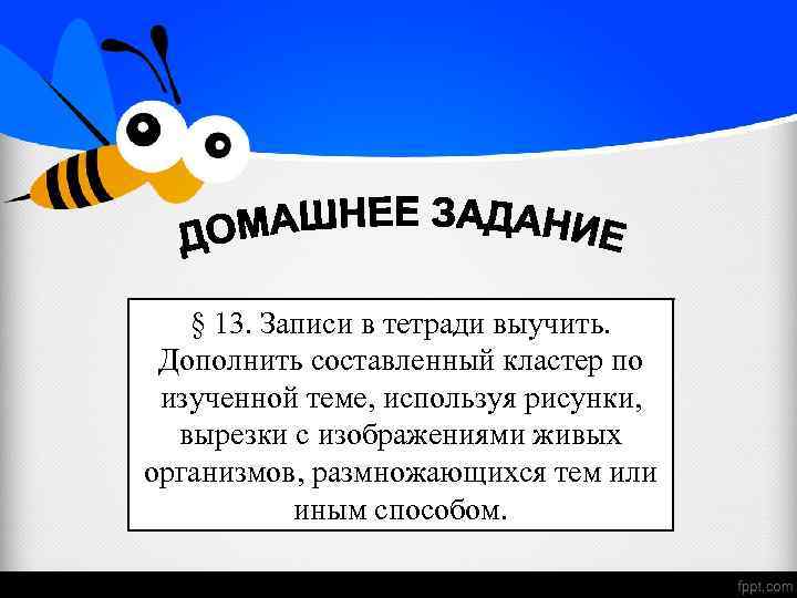 § 13. Записи в тетради выучить. Дополнить составленный кластер по изученной теме, используя рисунки,
