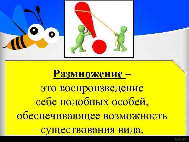 Размножение – это воспроизведение себе подобных особей, обеспечивающее возможность существования вида. 
