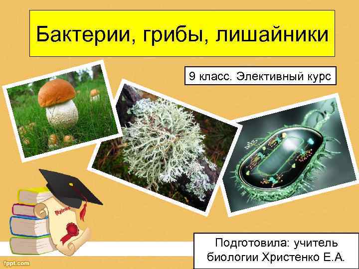 Бактерии, грибы, лишайники 9 класс. Элективный курс Подготовила: учитель биологии Христенко Е. А. 