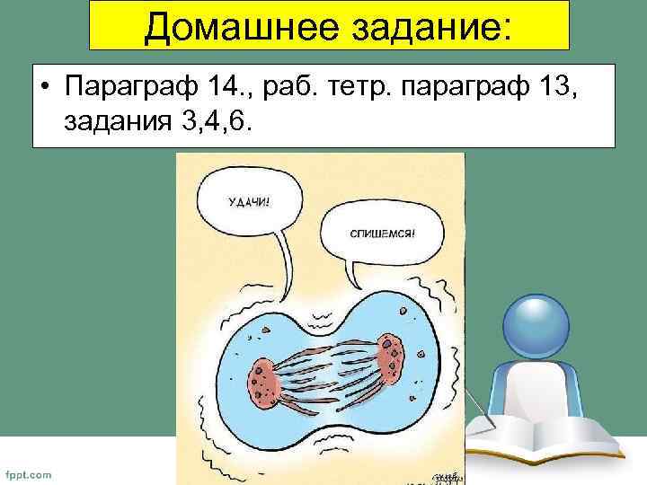 Домашнее задание: • Параграф 14. , раб. тетр. параграф 13, задания 3, 4, 6.