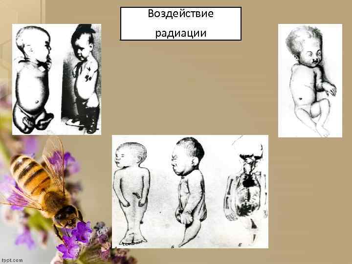 Воздействие радиации 