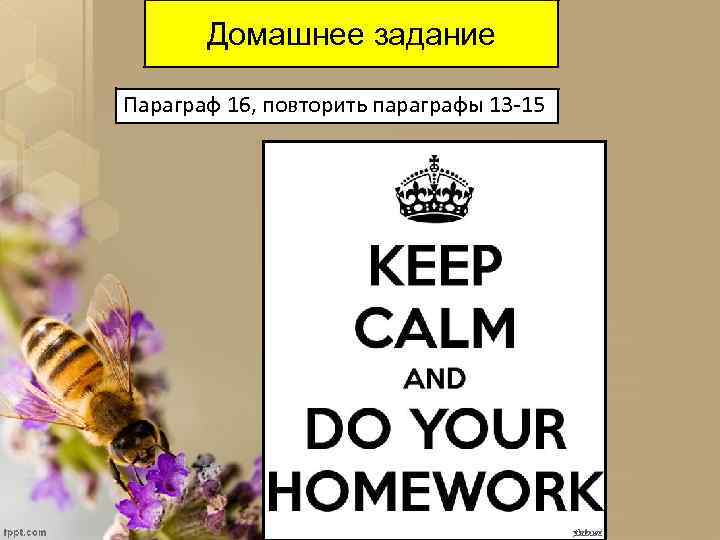 Домашнее задание Параграф 16, повторить параграфы 13 -15 