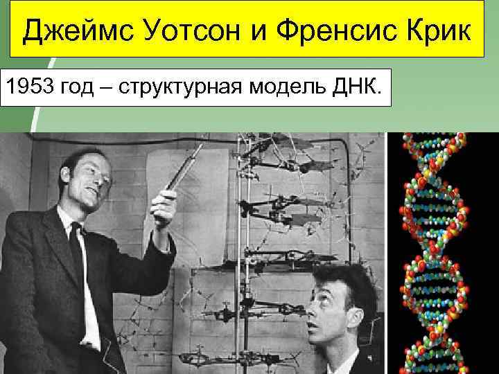 История генетики проект 9 класс