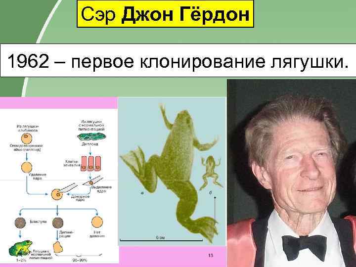 Сэр Джон Гёрдон 1962 – первое клонирование лягушки. 