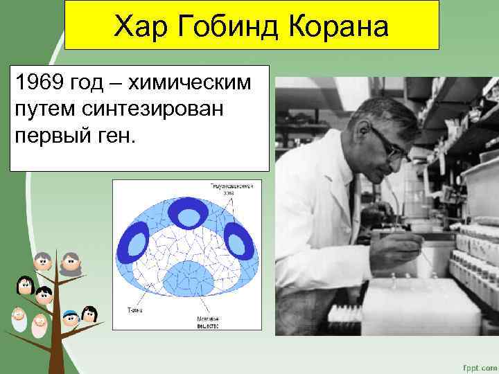 Первые синтезы. Химическим путем синтезирован первый ген. 1969 Химическим путем синтезирован 1 ген. Хар Гобинд Корана. Первое синтезирование Гена.