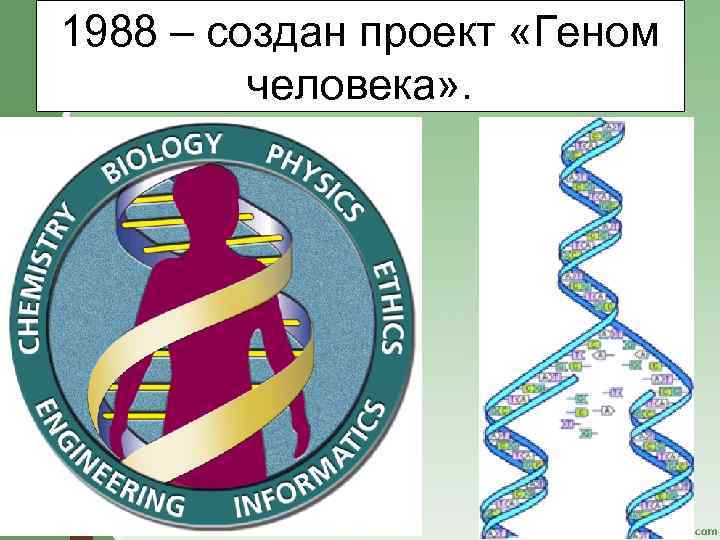 1988 – создан проект «Геном человека» . 