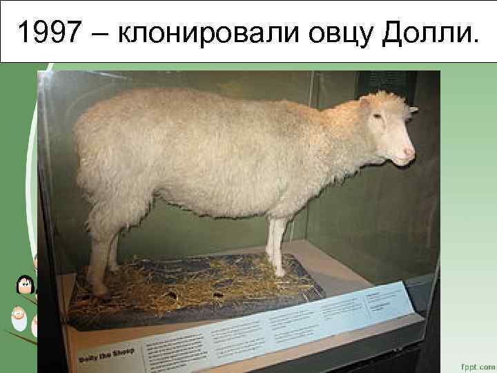 1997 – клонировали овцу Долли. 