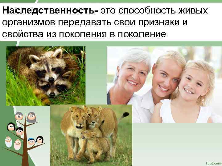 Наследственность- это способность живых организмов передавать свои признаки и свойства из поколения в поколение