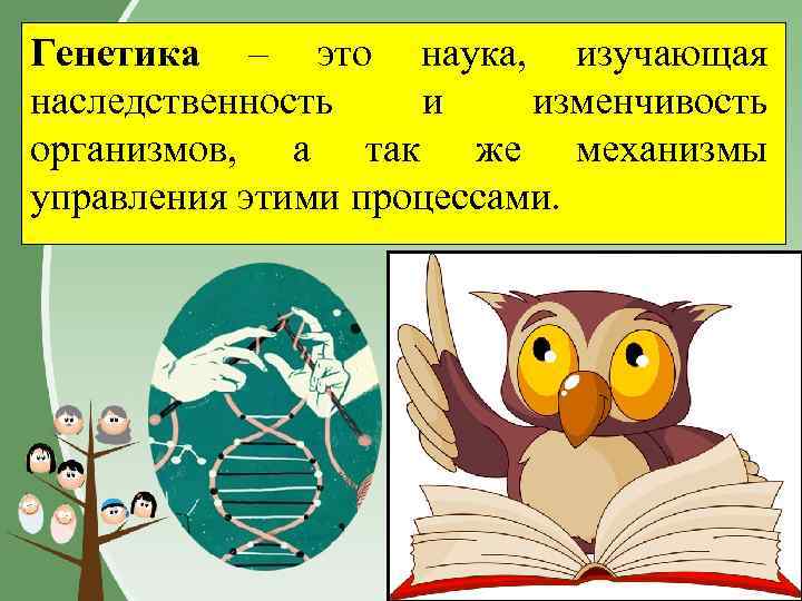 Генетика – это наука, изучающая наследственность и изменчивость организмов, а так же механизмы управления
