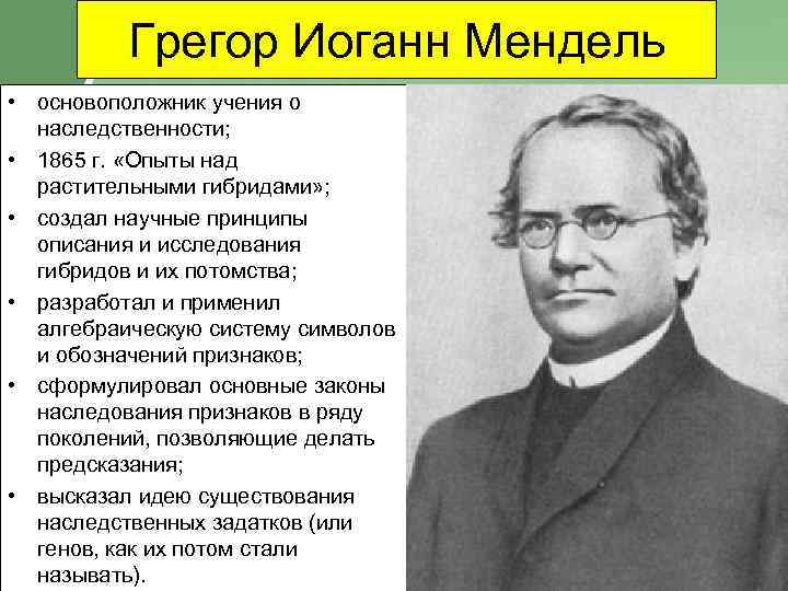 Грегор Иоганн Мендель • основоположник учения о наследственности; • 1865 г. «Опыты над растительными