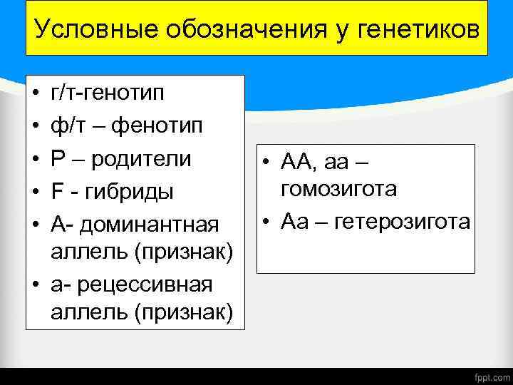 Генотип гомозиготы по всем аллелям. Гомозигота это в генетике. Генетический символ гетерозиготы. Гомозигота и гетерозигота это. Гетерозигота обозначение.