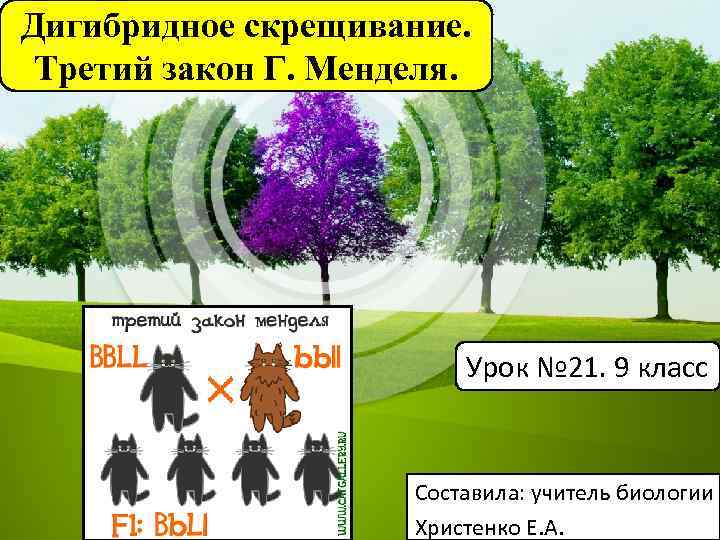 Дигибридное скрещивание. Третий закон Г. Менделя. Урок № 21. 9 класс Составила: учитель биологии